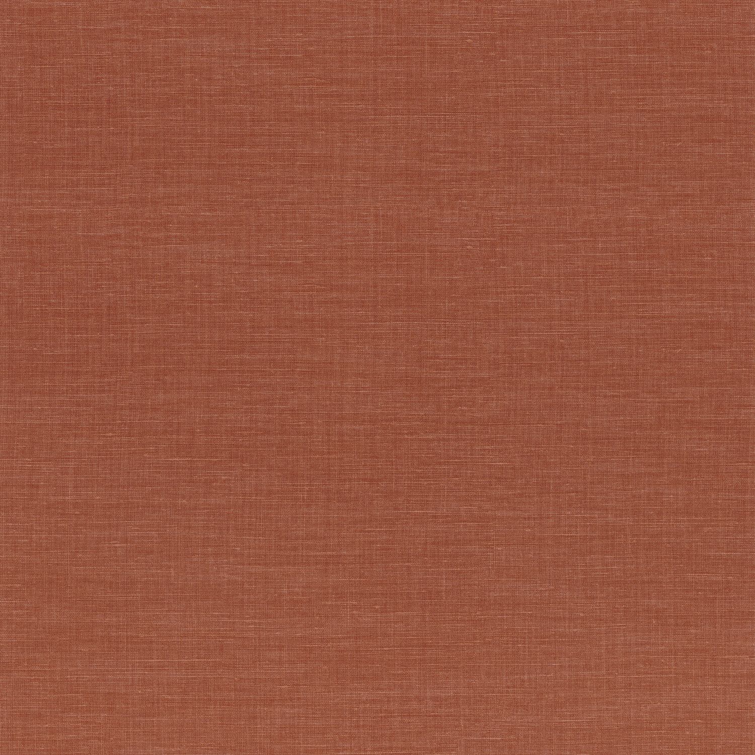 SHINOK – ORANGE FLAMBOYANT