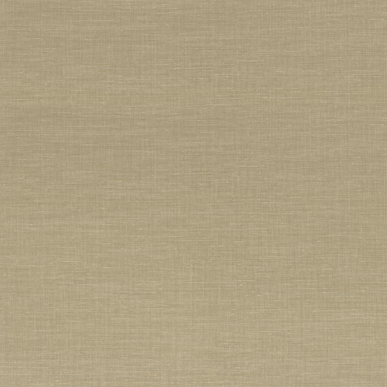 SHINOK – TILLEUL