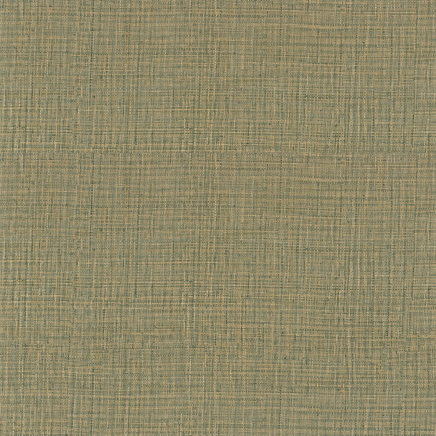 Kaki