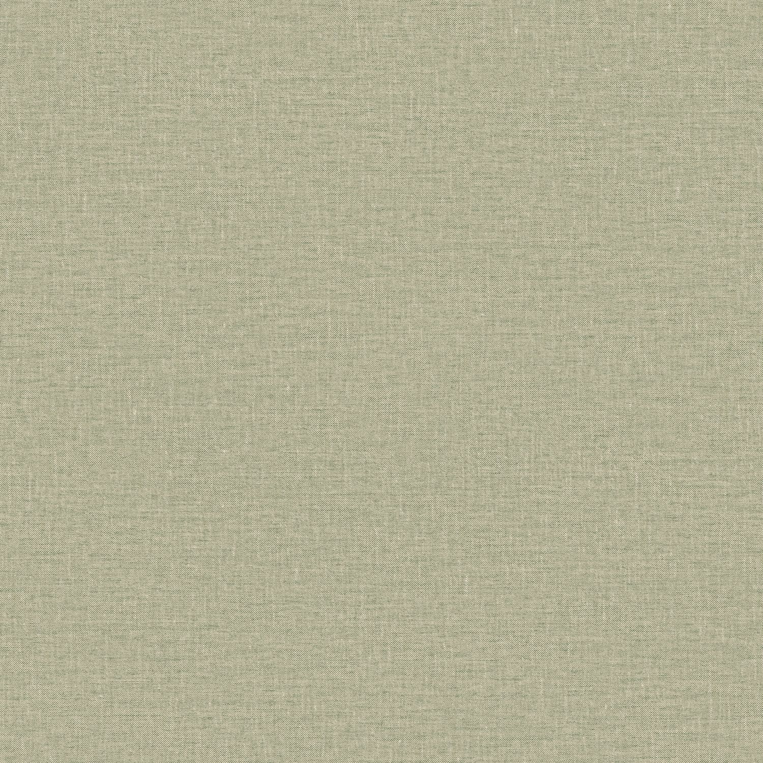 Eucalyptus