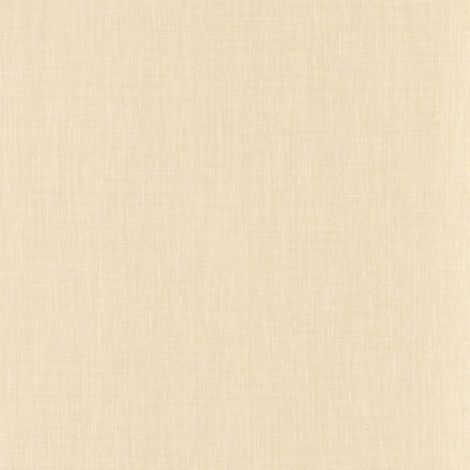 SHINOK – COQUILLE