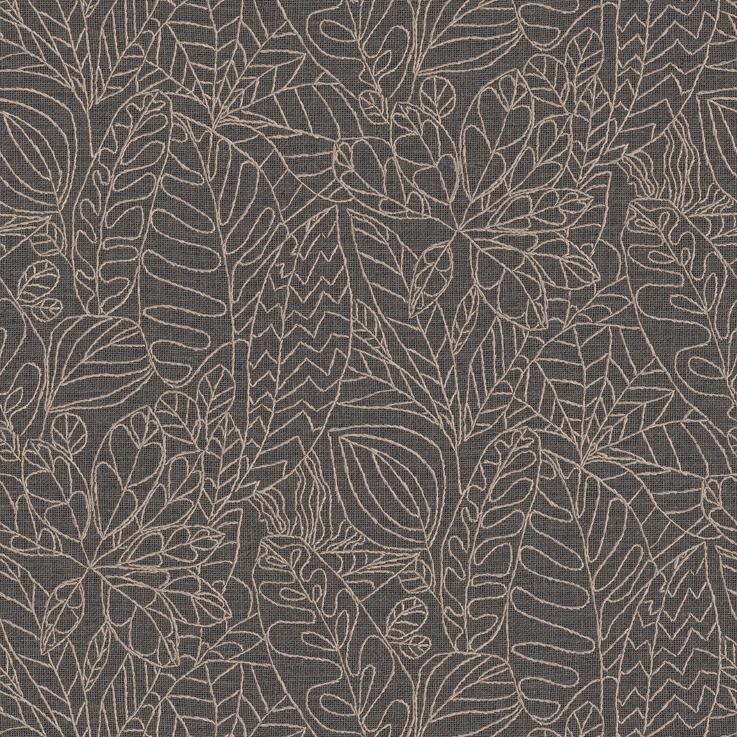 ARGANIA – ANTHRACITE
