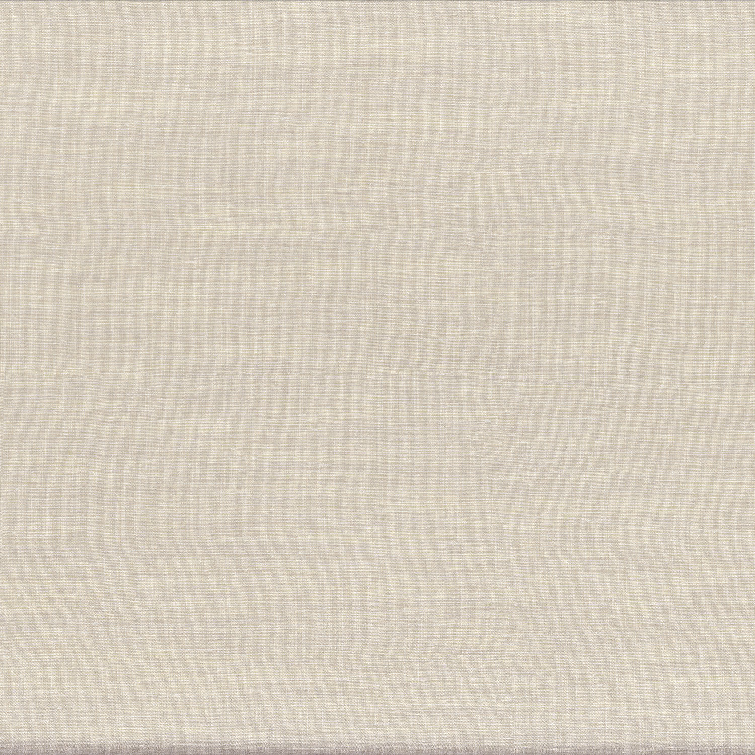 SHINOK – NEIGE POUDREE