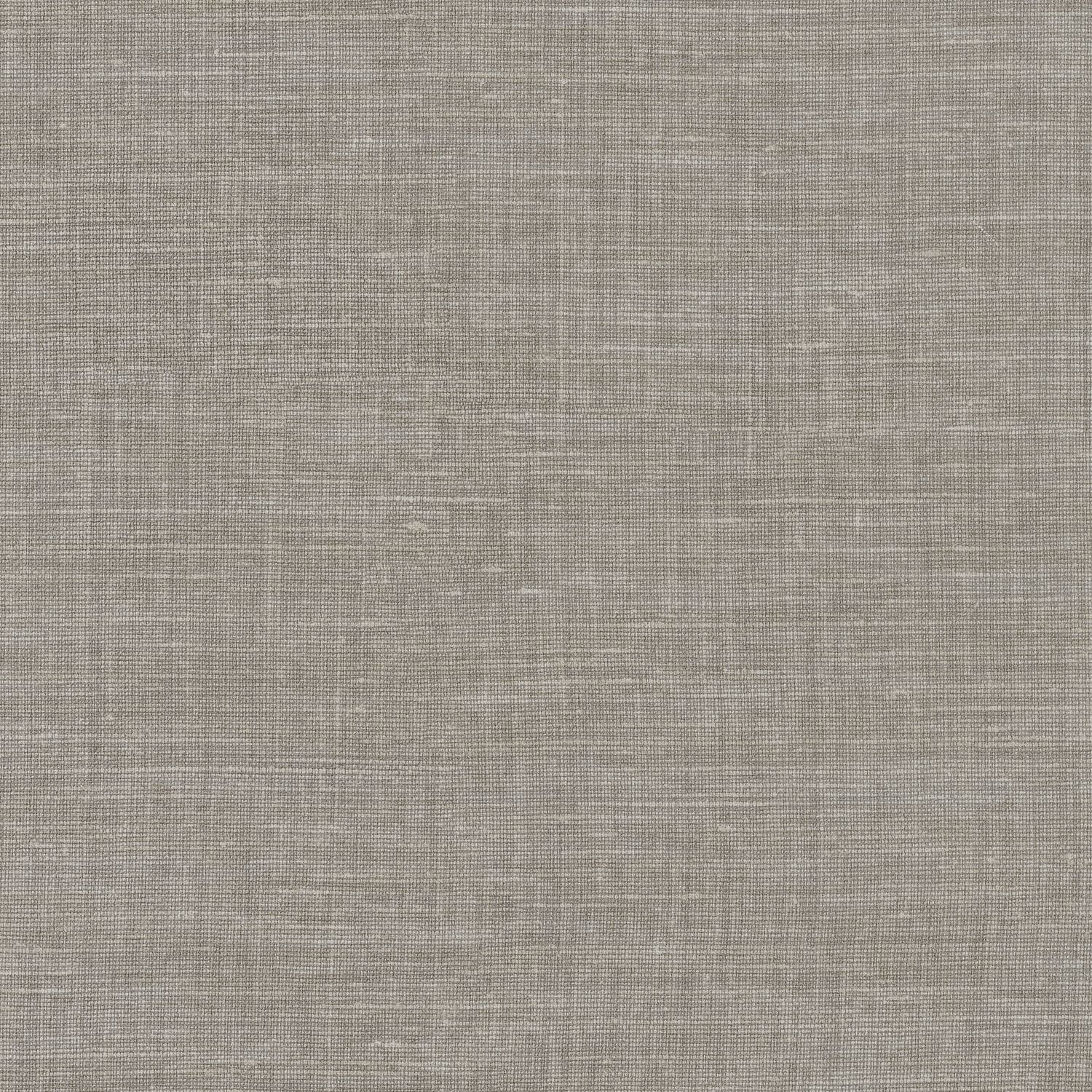 SHINOK – GRIS FER