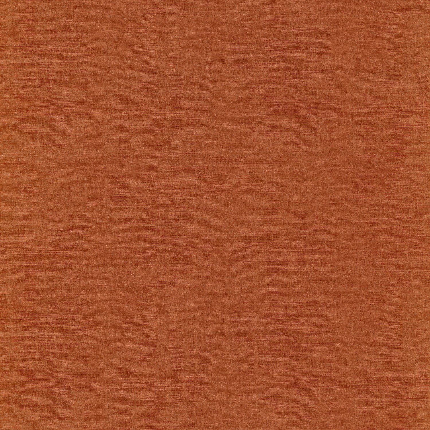 Orange Brulee