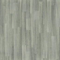 Sapelli