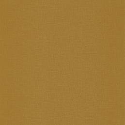 Aleph
