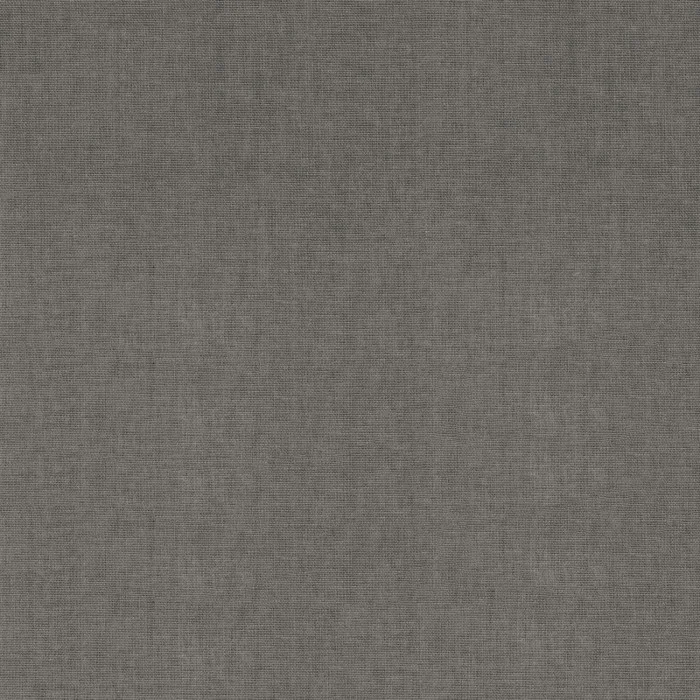 Tourterelle Tourterelle