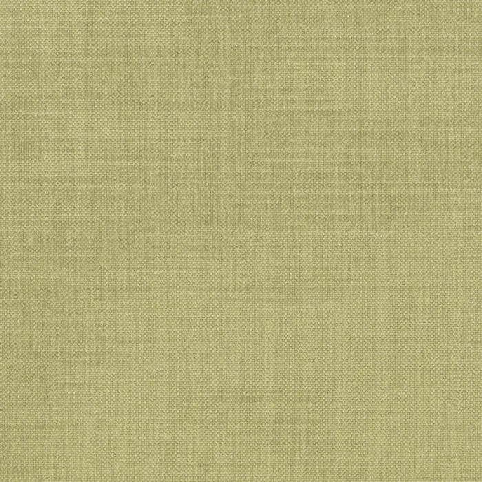 Pistache 2 Pistache 2