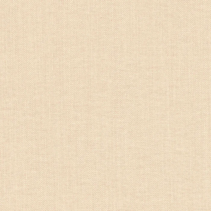 Beige rose Beige rose