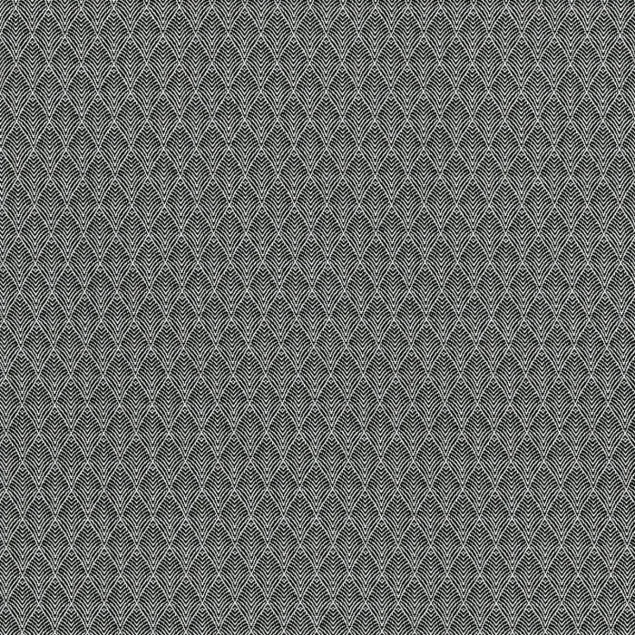 Noir de lune Noir de lune