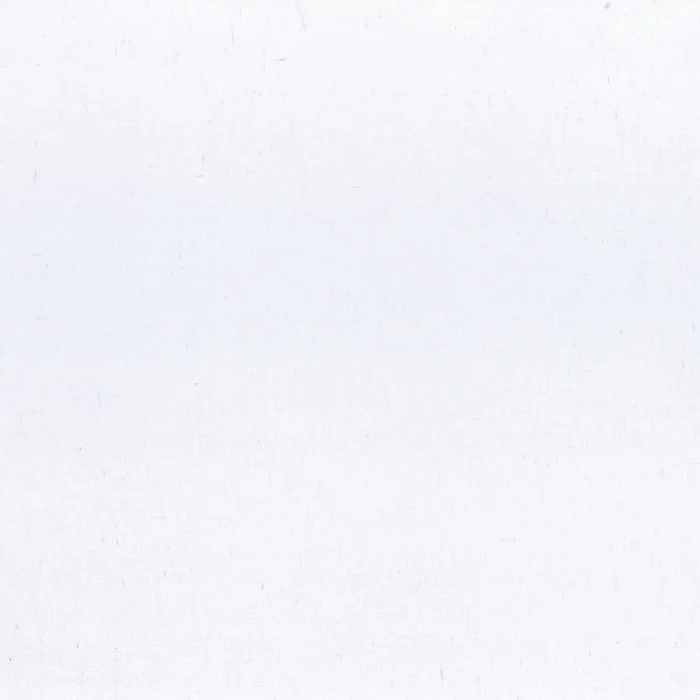 Blanc petale Blanc petale