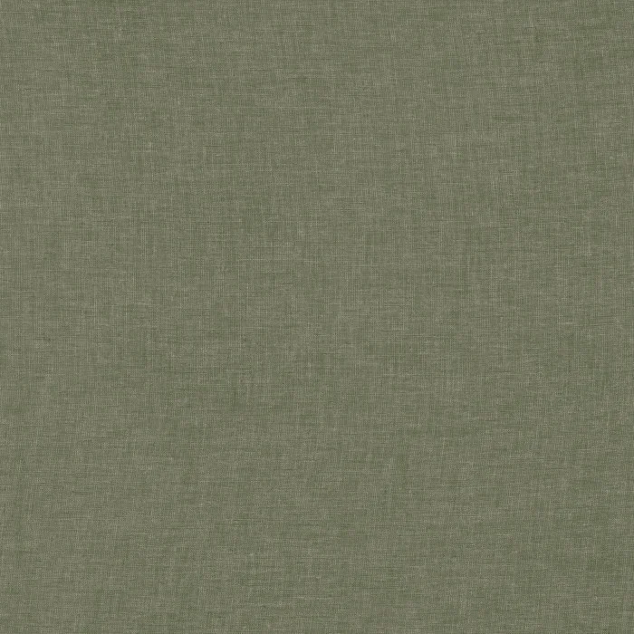 Vert olive Vert olive