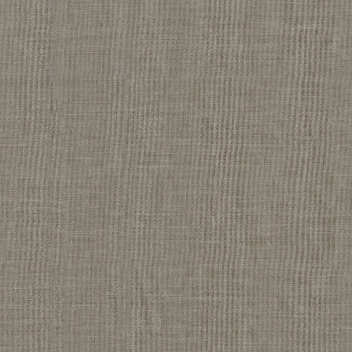 Beige taupe Beige taupe