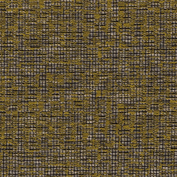 Moutarde noir de lune Moutarde noir de lune