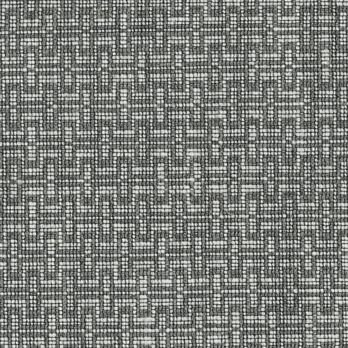 Tourterelle Tourterelle