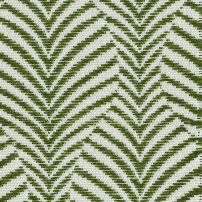 Vert mousse Vert mousse