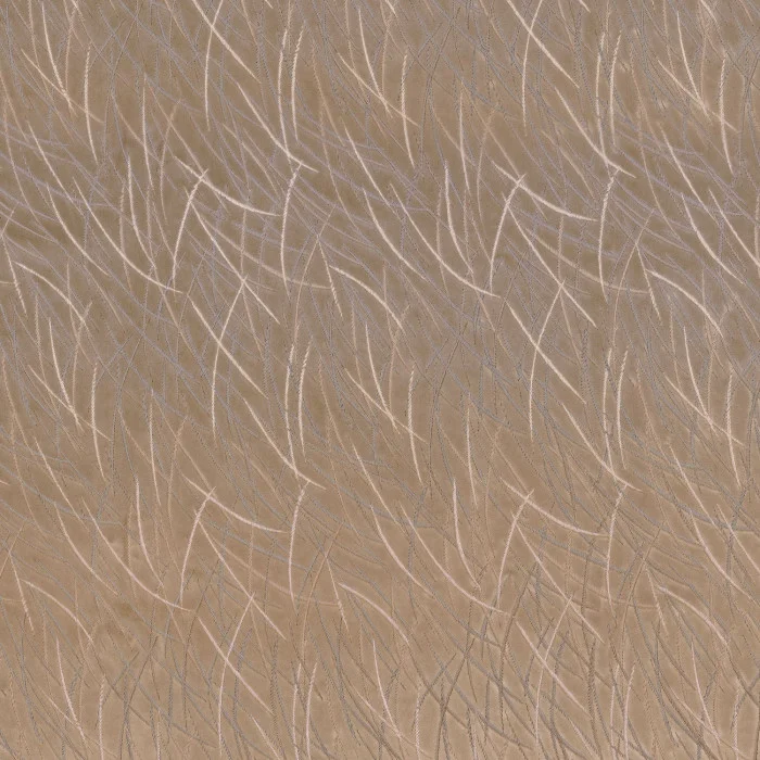 Marron glace Marron glace