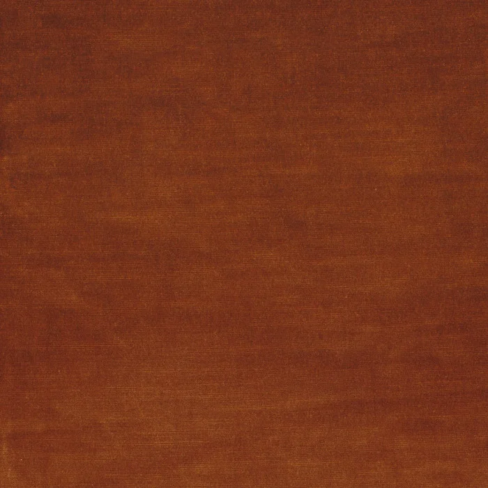 Orange brulee Orange brulee