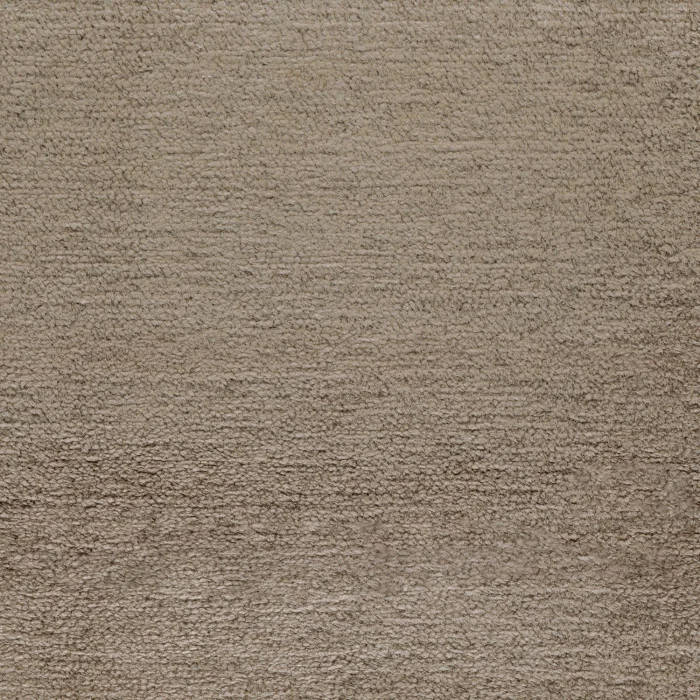 Tourterelle Tourterelle