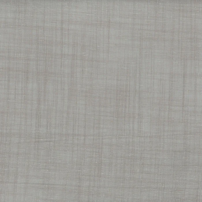 Tourterelle Tourterelle