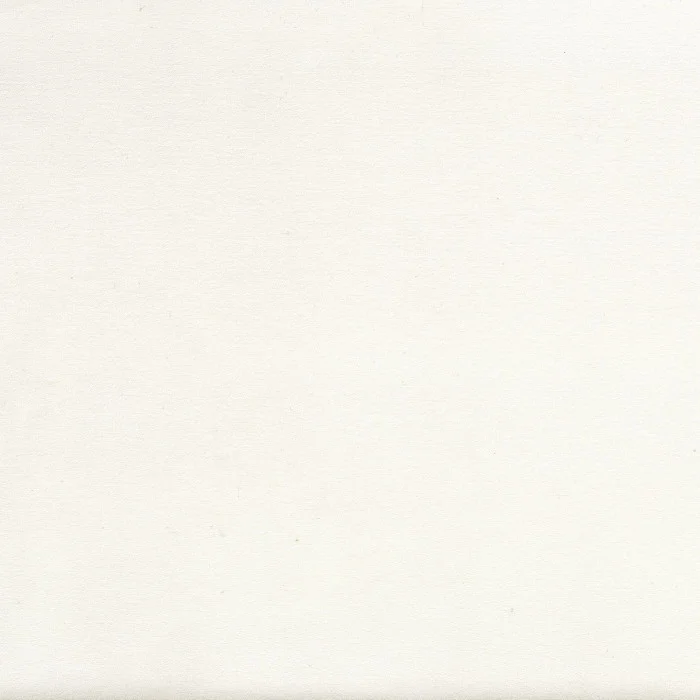 Blanc petale Blanc petale