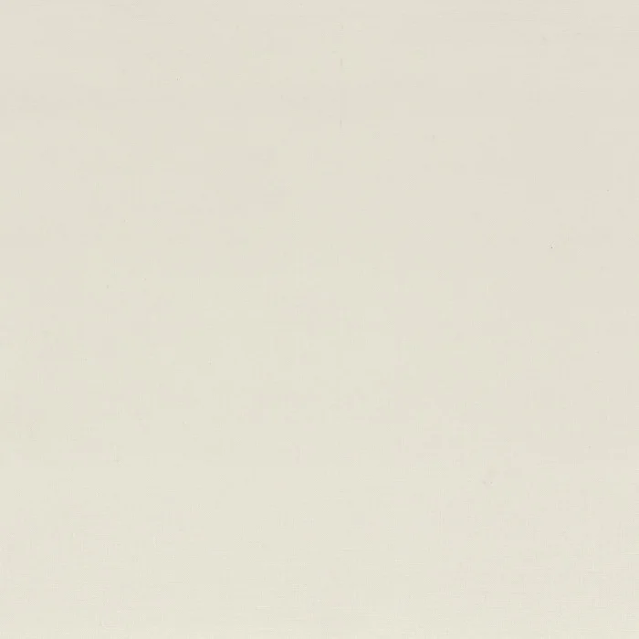 Blanc petale Blanc petale