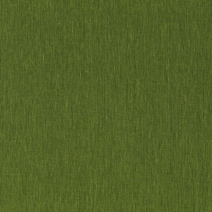 Vert mousse Vert mousse