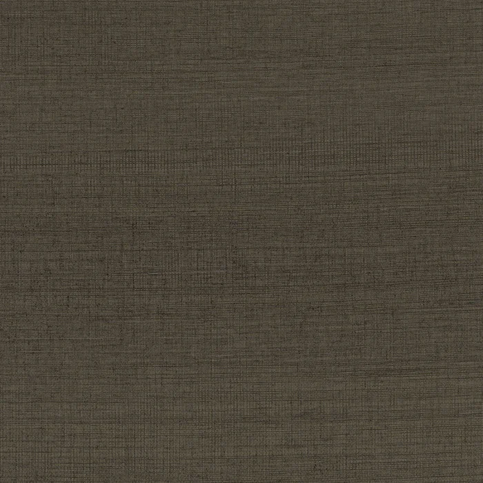 Anthracite Anthracite