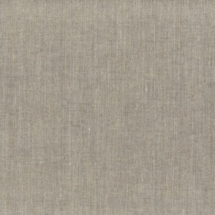 Tourterelle Tourterelle