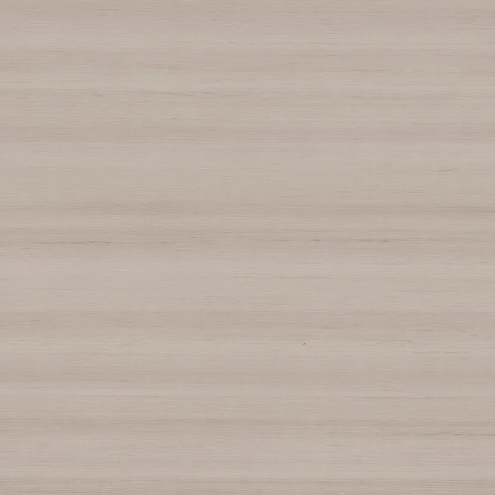 Tourterelle Tourterelle