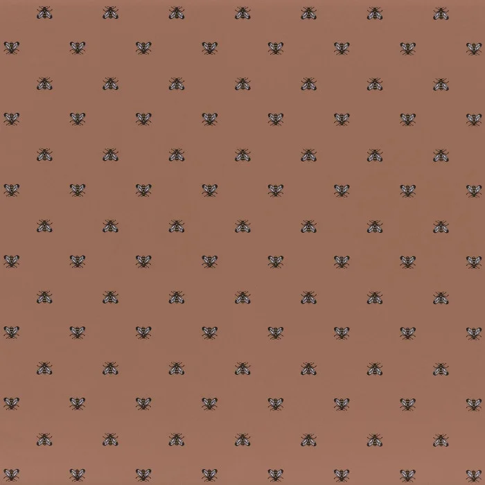 Terracota Terracota