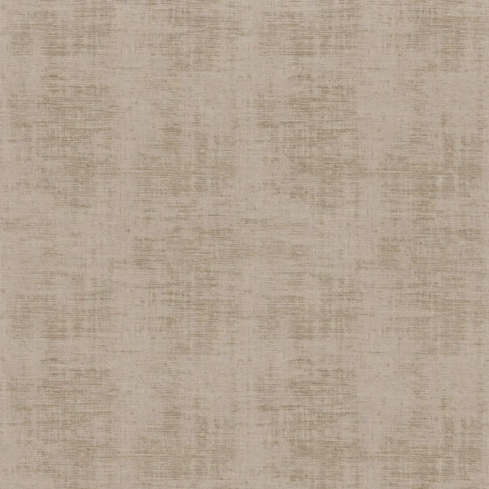 Taupe moyen