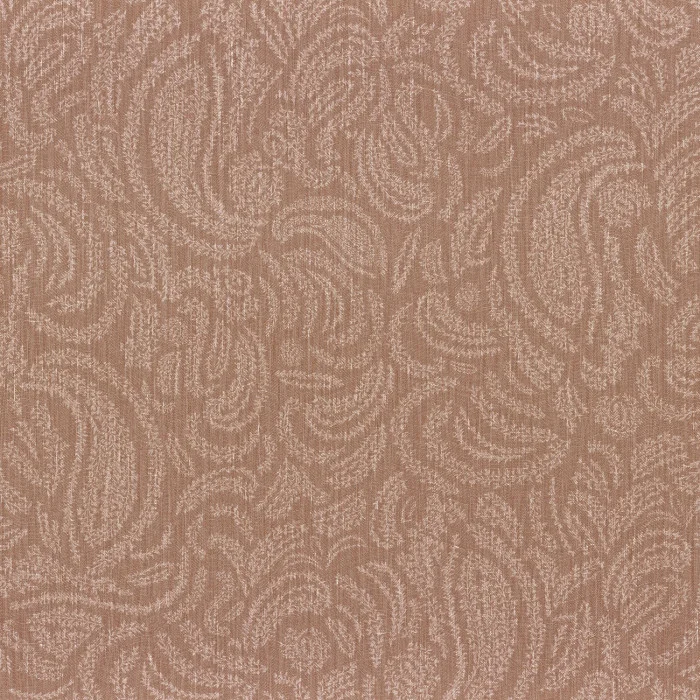 Terracotta Terracotta