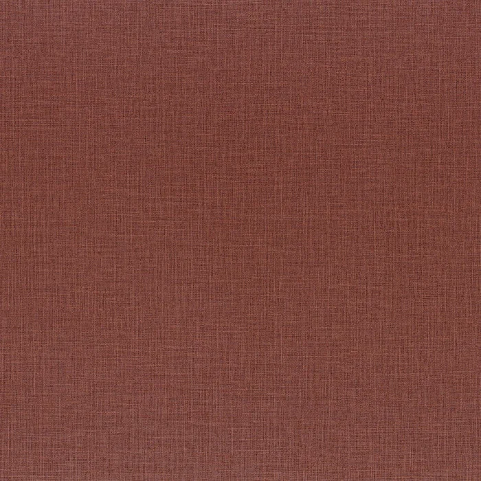 Rose indien Rose indien