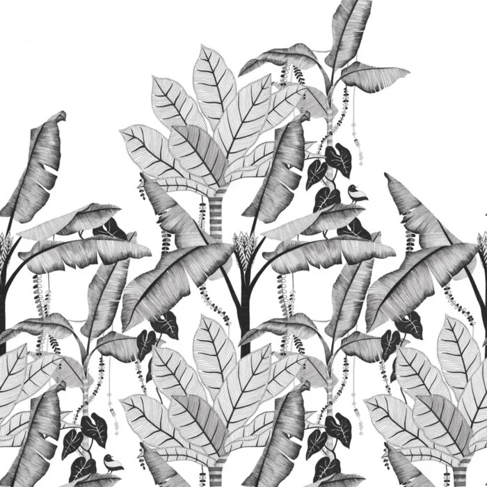 Noir/blanc Noir/blanc