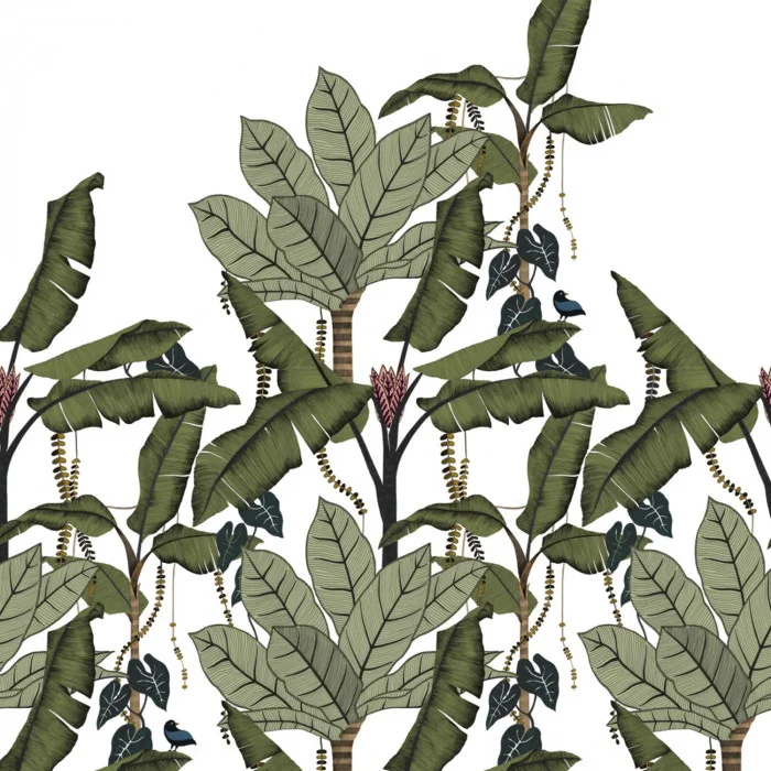 Blanc/vert mousse Blanc/vert mousse