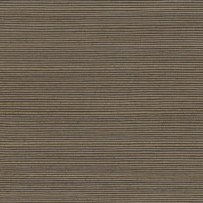 Gris cendre Gris cendre