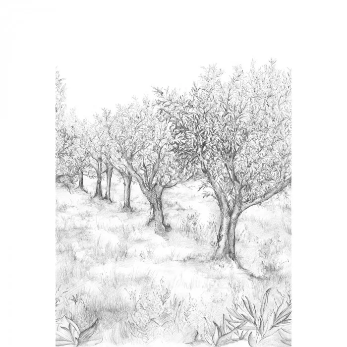 Noir/blanc Noir/blanc