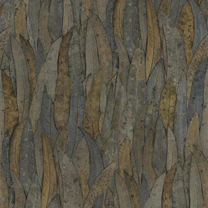 Anthracite Anthracite