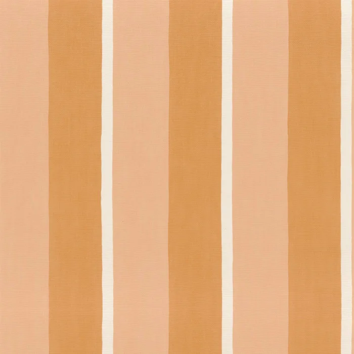 Abricot/peau de pêche