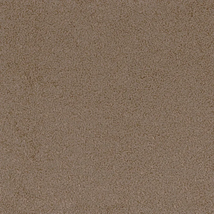 Taupe Taupe