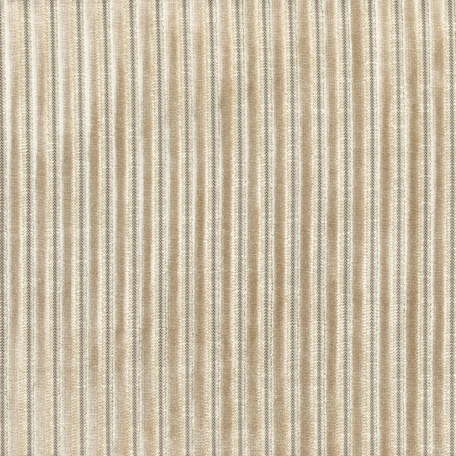 ZEBU