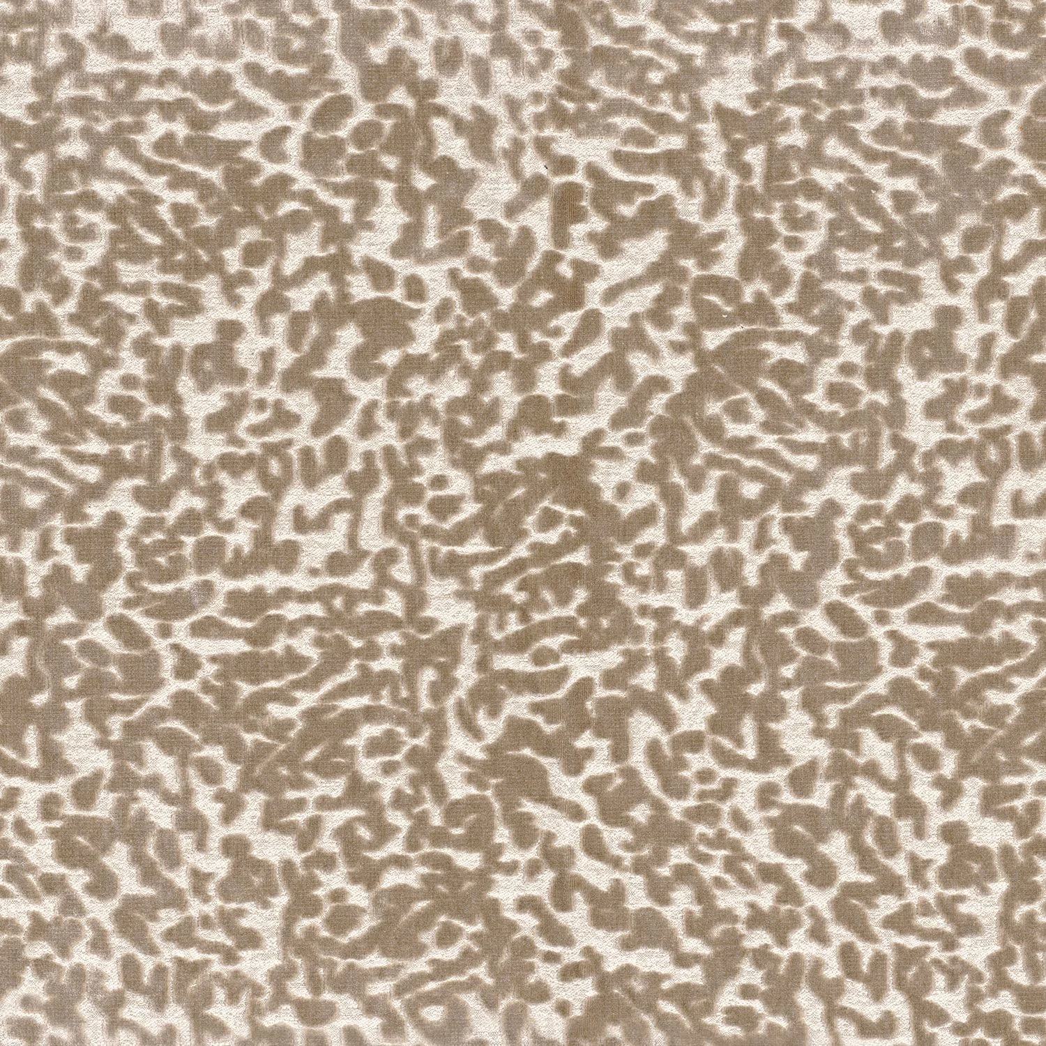 OCEMA