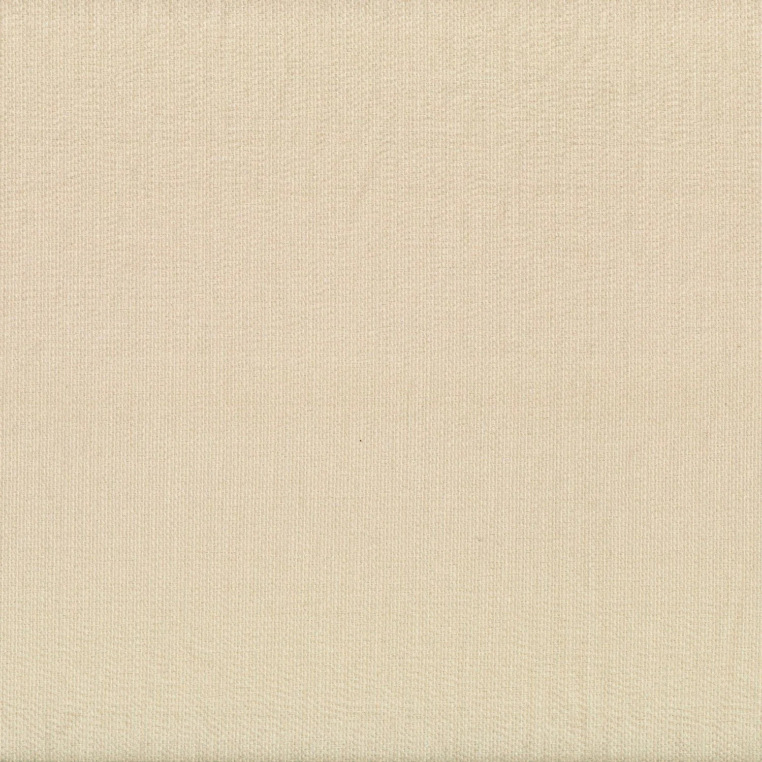 NÉRÉE