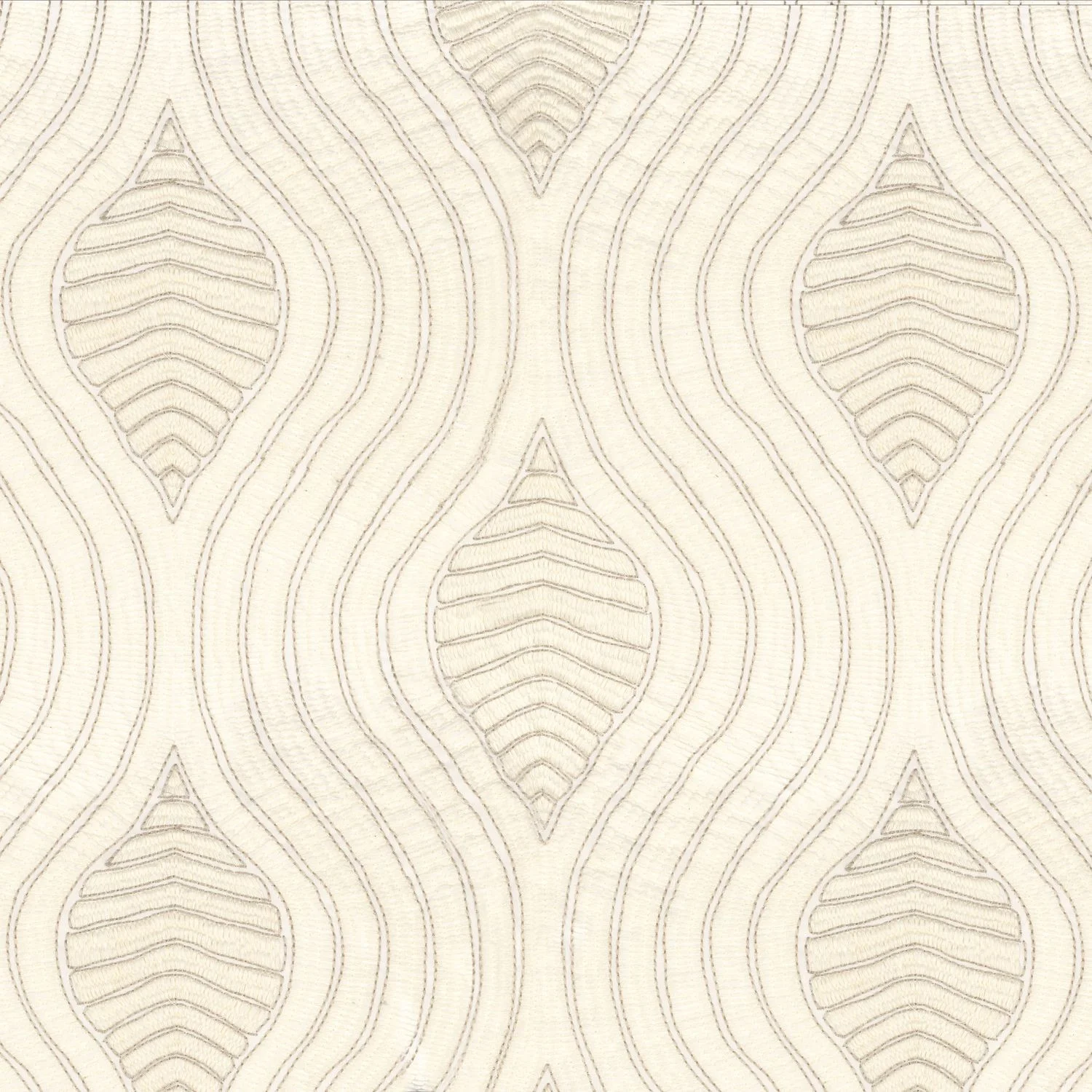 VOLUTE